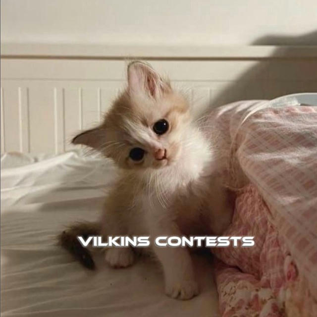 vilkins contests