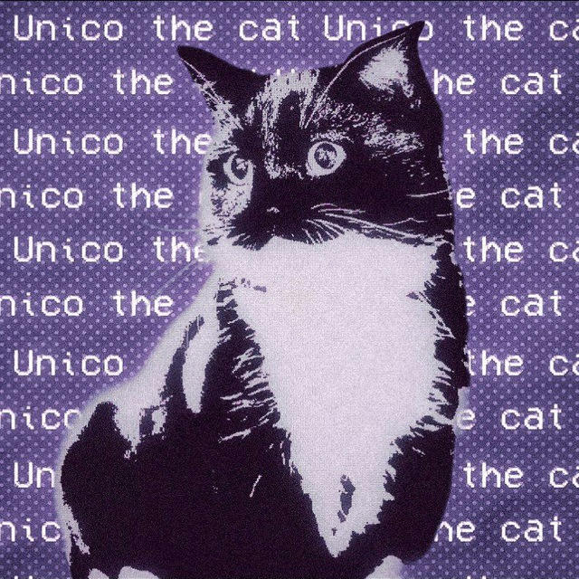The Unico Cat!