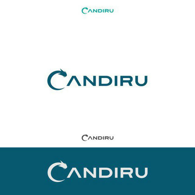 Cyber Candiru