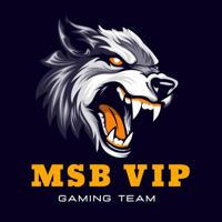 MSB VIP MOD 3.1