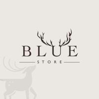 BLUE STORE