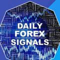 Daily forex signals💰