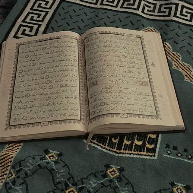 الحب❤️