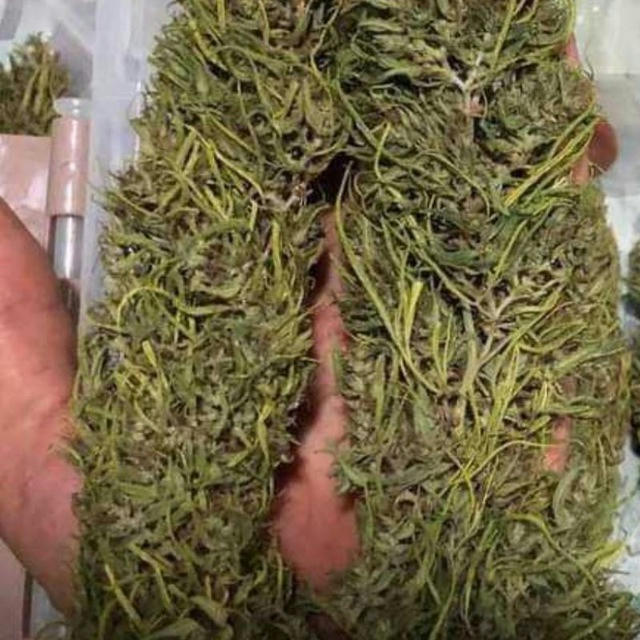 INDIAN CHARAS GANJA AFEEM OG KUSH SELLER