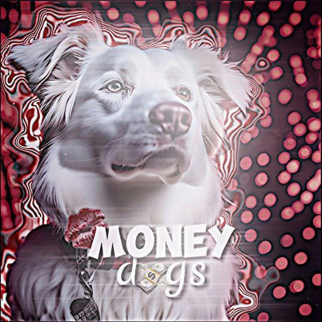 Money dogs💸