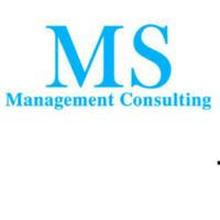 MS Management Consulting Company ltd; (Xiao Hua)