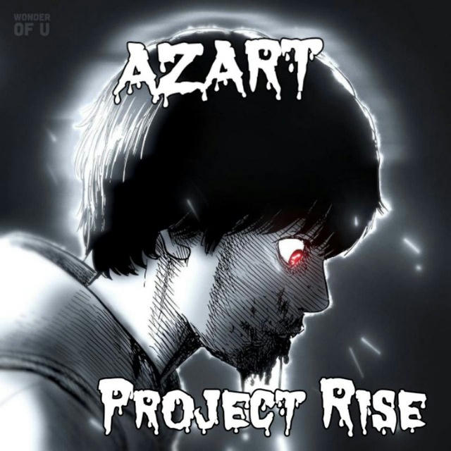 A Z A R T | Project Rise