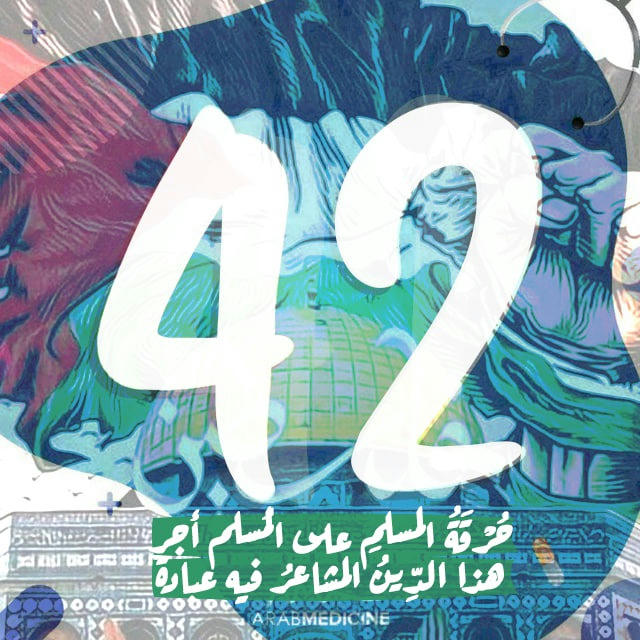 ArabMed Heros 42 💙
