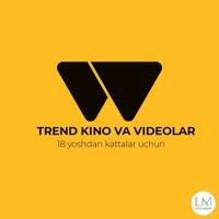 TKV (trend kino video)