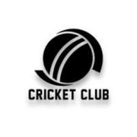 Cricket Live Batting🏏