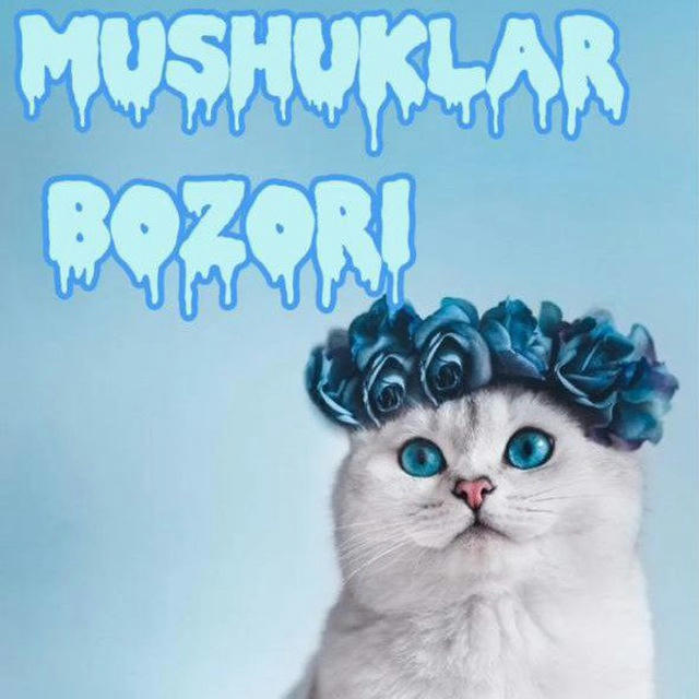 Mushuk bozor 🇺🇿 UZ