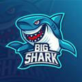 Big Shark Apuestas