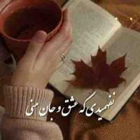 🍁عاشقانه های من و تو🍁