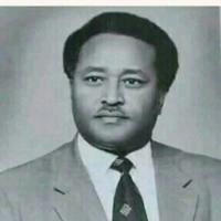 Save Amhara Fano💪✊💪🌍 🛰🦅💚💛❤️