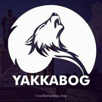 Yakkabog