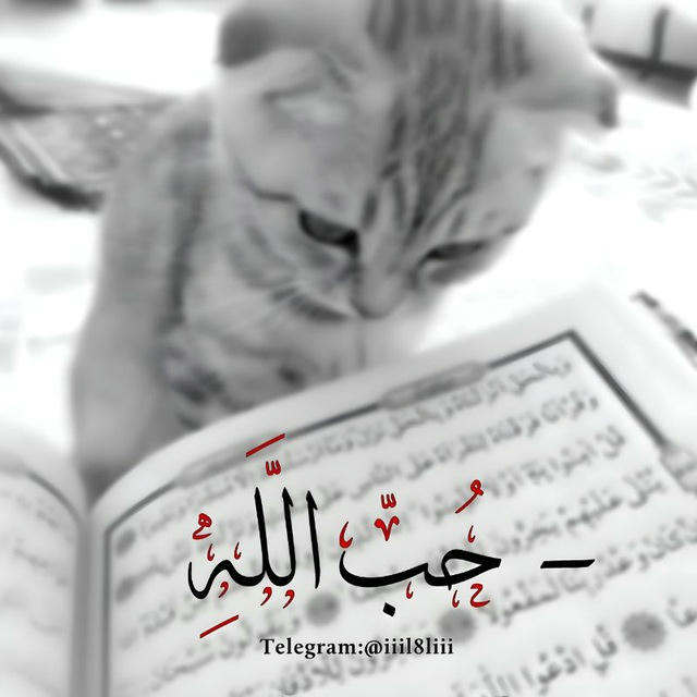 ﮼حُب اللَّهِ ᨳ.