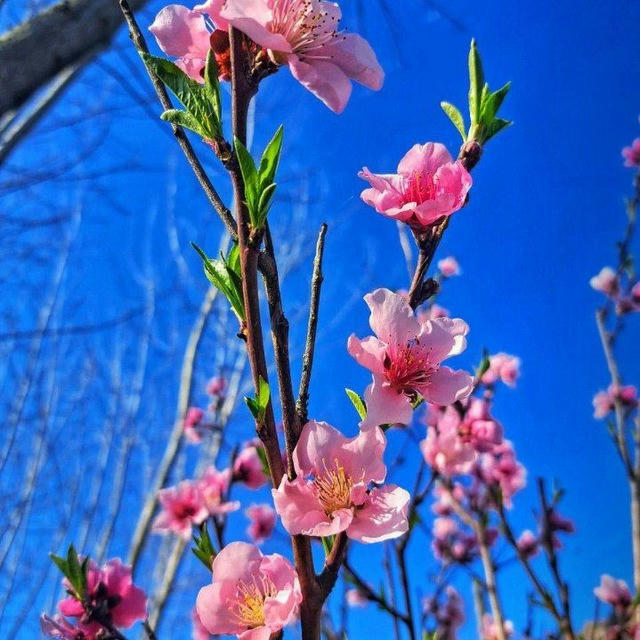 "هەمووشتێک سپاردەی خودابێت"