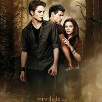 Film Twilight Saga (Sub Indo)