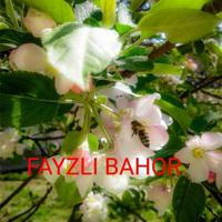 FAYZLI BAHOR