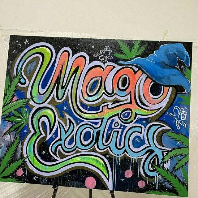 📦📦🔌 MAGOEXOTIC FAMILY