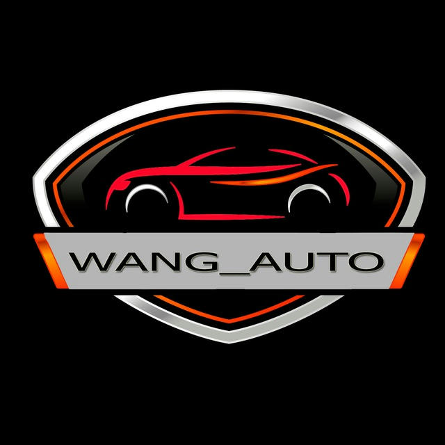 WANGAUTO Авто из Китая