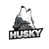 🏆 Husky Bets Free 🏆
