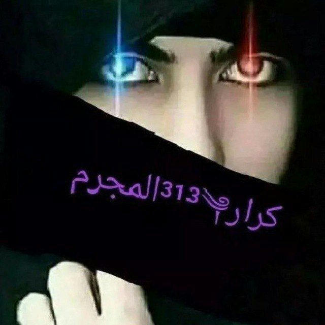 ڪرار³¹³المجرم