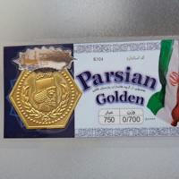 سکه پارسیان