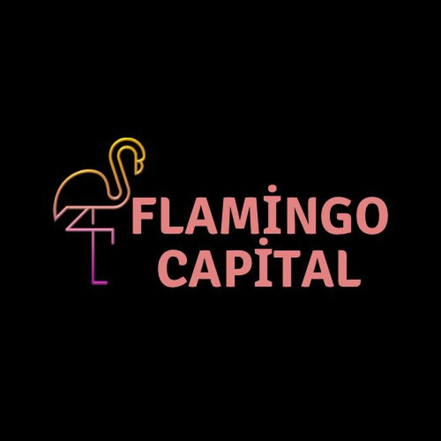 Flamingo Capital