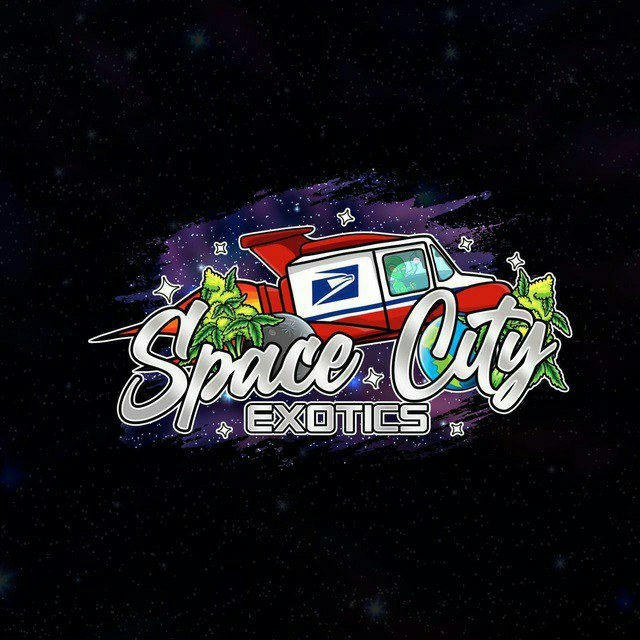 Spacecityexotic