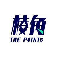 棱角 The Points Global