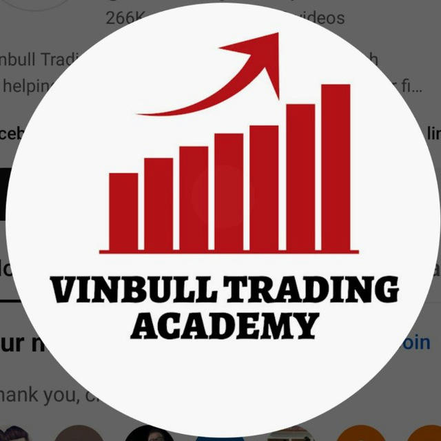 Vinbull Trading Academy