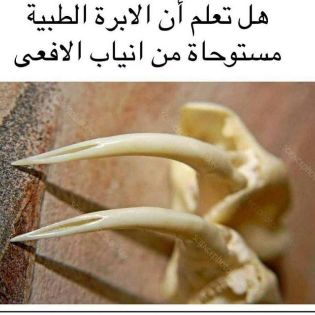 كاتب حزين