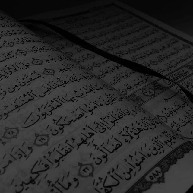 القرآن الكريم.