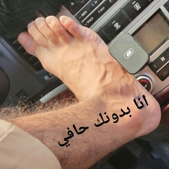 عبارات | سيارات | باصات •|𖤍