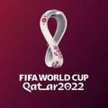 FIFA Dünya Kupası 2022