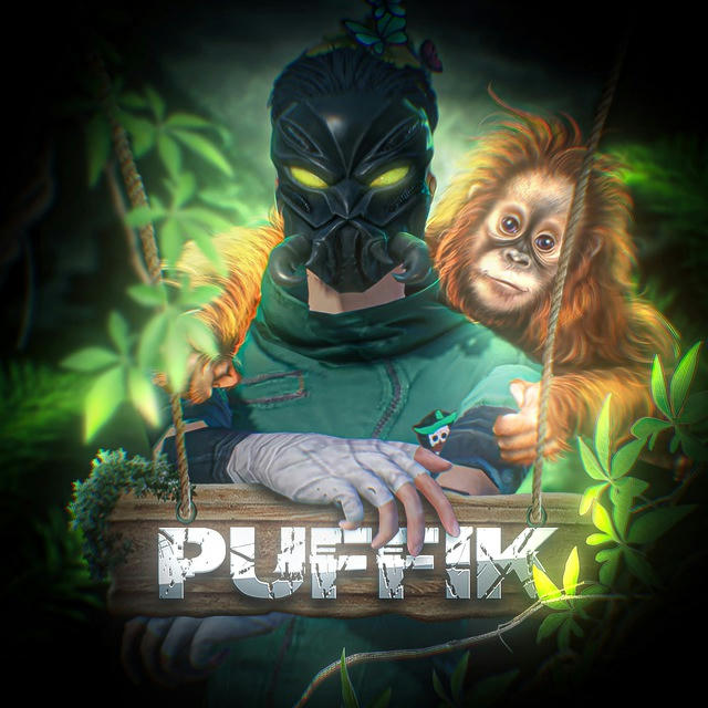 PUFFIK STORE