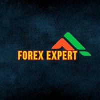 Forex Expert
