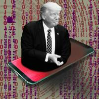 Trump [ PRIVATE ] Database