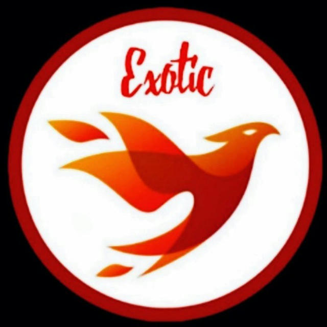 EXOTIC VIP CHANNEL