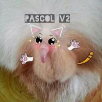 Rate pap PascolV2•૪