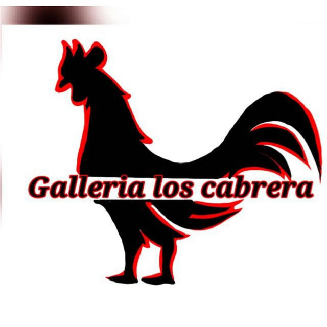 GALLERIA LOS CABRERA 👑