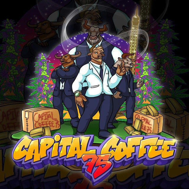 CAPITAL🇫🇷COFFEE🇳🇱93 75