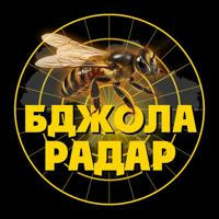 Бджола 🐝 Радар