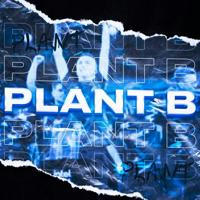 Plant B | Новости & CS2