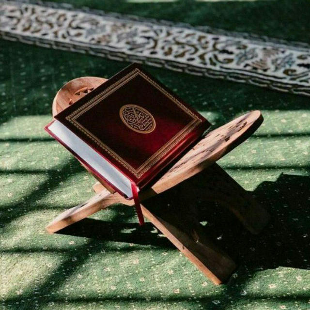 قُــرآنٌ يُتلَـى || Quran