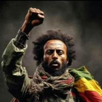 Amhara Revolution