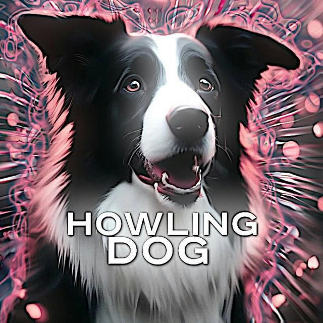 🐕HOWLING_DOG🐈