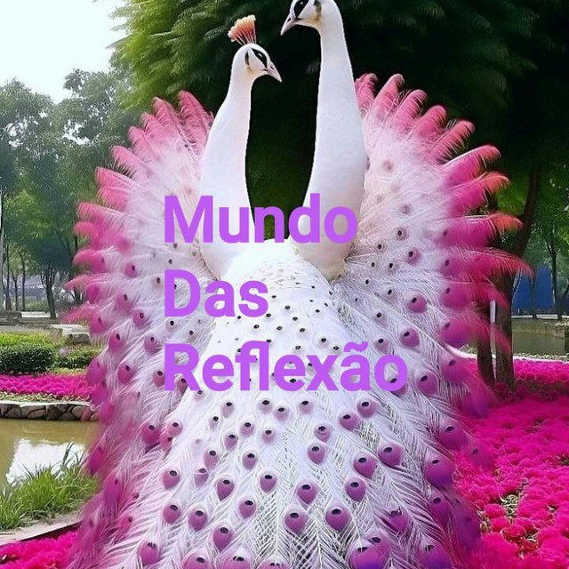 Mundo das reflexão 🌺🌏