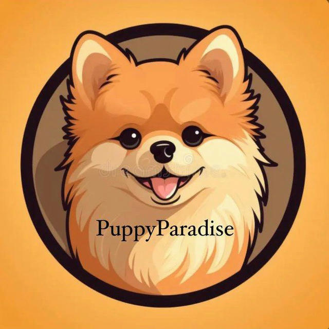 PuppyParadise